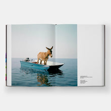 Load image into Gallery viewer, Paola Pivi - Self Titled Monograph edited by Justine Ludwig