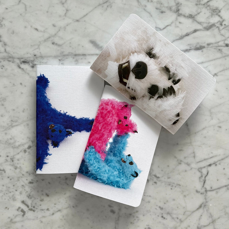 Paola Pivi - Baby Bear Mini-Notebook (Set of 3)