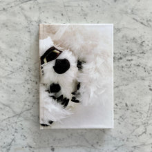 Load image into Gallery viewer, Paola Pivi - Baby Bear Journal (White)