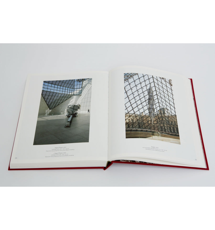 Wim Delvoye - Introspective