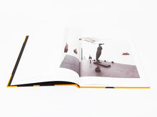Load image into Gallery viewer, Johan Creten - La Traversée (The Crossing)
