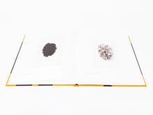 Load image into Gallery viewer, Johan Creten - La Traversée (The Crossing)
