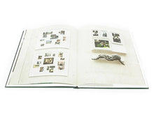Load image into Gallery viewer, Johan Creten - Naked Roots
