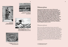 Load image into Gallery viewer, Johan Creten - Terre Fertile, Terre Fébrile
