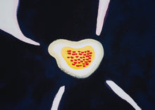 Load image into Gallery viewer, Susumu Kamijo - Two Blossoms in a Dream
