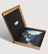 Load image into Gallery viewer, Daniel Arsham - Memory Waterfall, 2025
