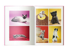 Load image into Gallery viewer, Maurizio Cattelan - Chromotherapia: Feel-Good Color Photography
