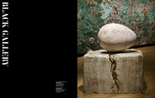 Load image into Gallery viewer, Peter Marino - Peter Marino Art Foundation Catalog
