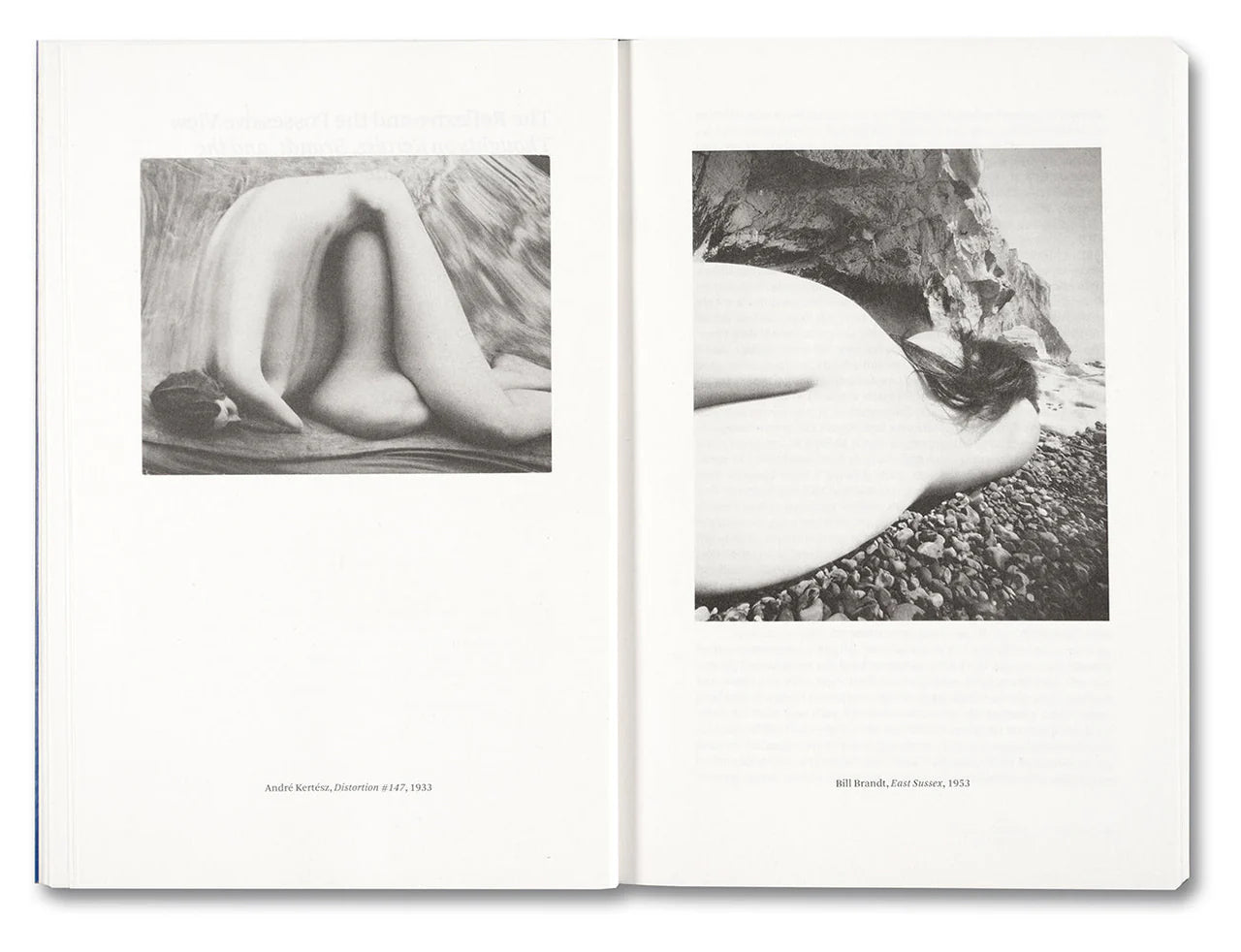 Painting Photography Painting: Selected Essays