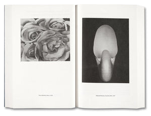 Painting Photography Painting: Selected Essays