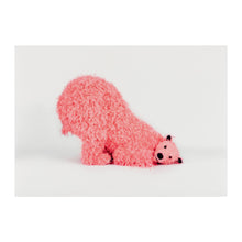 Load image into Gallery viewer, Paola Pivi - A beautiful photo of "?", 2023
