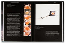 Load image into Gallery viewer, Paul Pfeiffer - Prologue to the Story of the Birth of Freedom
