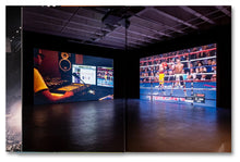 Load image into Gallery viewer, Paul Pfeiffer - Prologue to the Story of the Birth of Freedom
