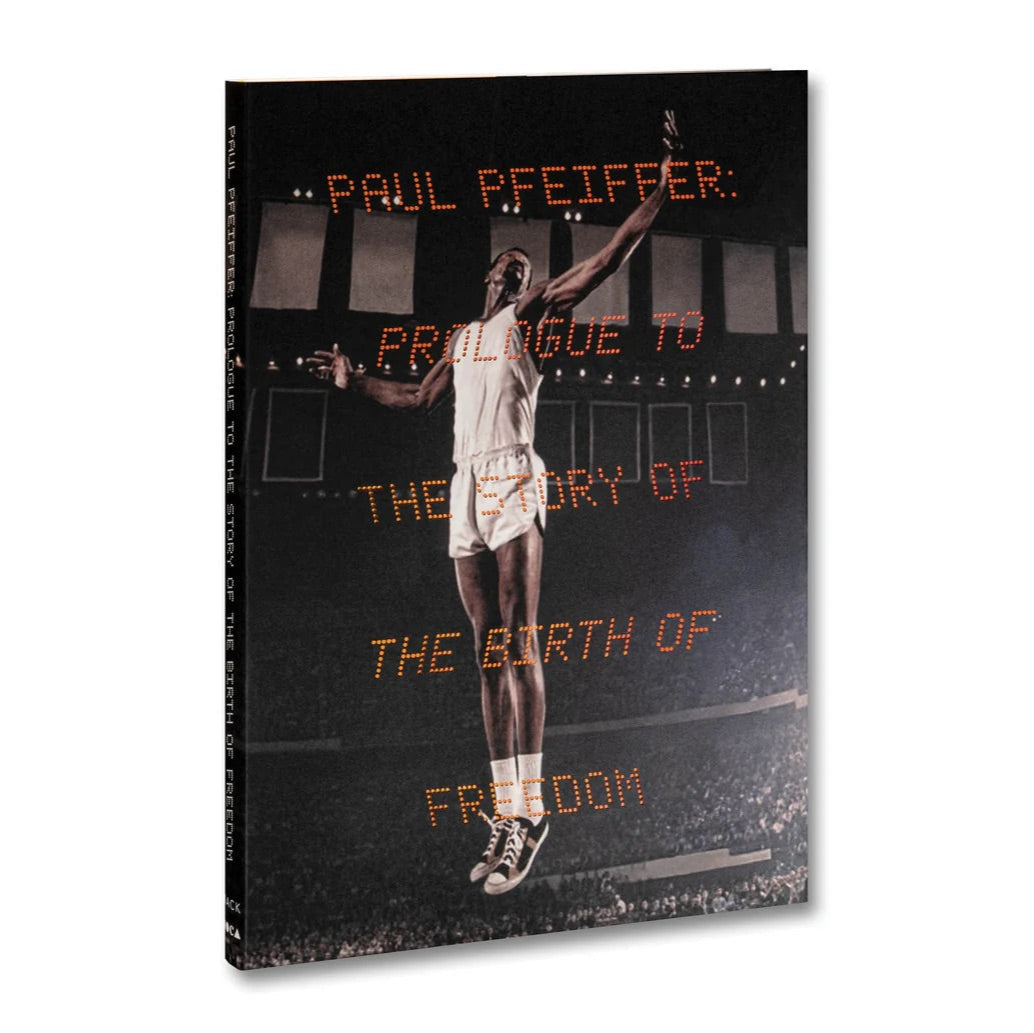 Paul Pfeiffer - Prologue to the Story of the Birth of Freedom