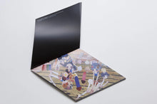 Load image into Gallery viewer, AYA TAKANO - After the Tohoku Earthquake
