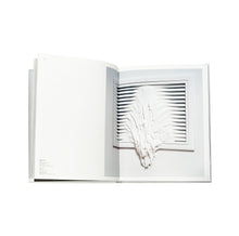 Load image into Gallery viewer, Daniel Arsham - Self Titled Perrotin Monograph
