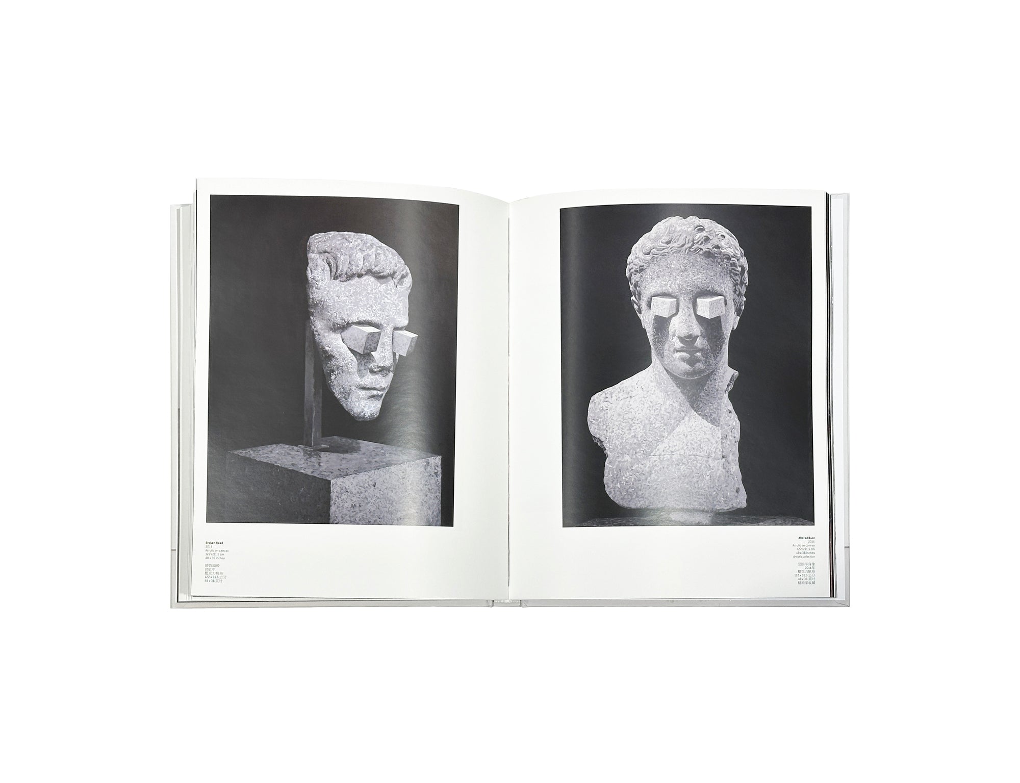 Daniel Arsham - Self Titled Perrotin Monograph
