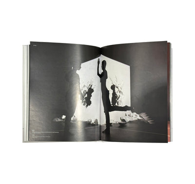 Daniel Arsham - Self Titled Perrotin Monograph