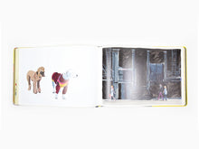 Load image into Gallery viewer, Jean-Philippe Delhomme - Travel Book New York
