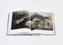 Load image into Gallery viewer, Emma Webster - Perrotin Monograph
