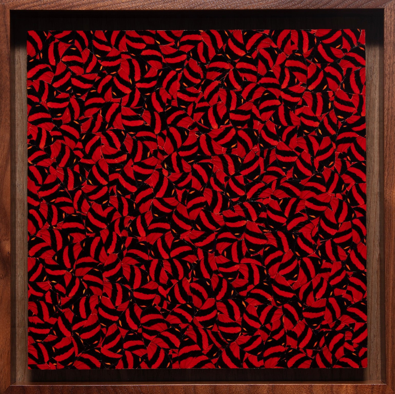 Gabriel de la Mora - La Petite Mort
