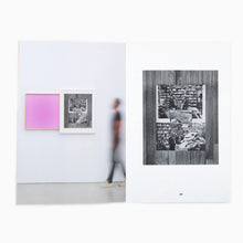 Load image into Gallery viewer, Leslie Hewitt - Set Theory (Signed)
