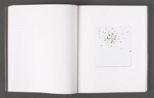 Load image into Gallery viewer, Thilo Heinzmann - Self Titled Monograph
