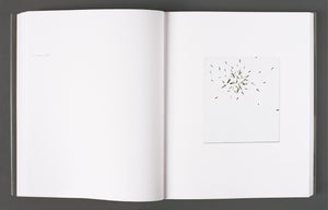 Thilo Heinzmann - Self Titled Monograph