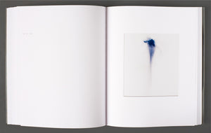 Thilo Heinzmann - Self Titled Monograph