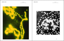 Load image into Gallery viewer, Michael Flomen - Photograms and Photographs 2020-1970
