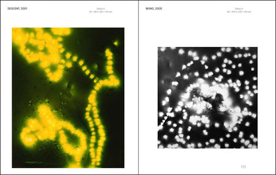 Michael Flomen - Photograms and Photographs 2020-1970