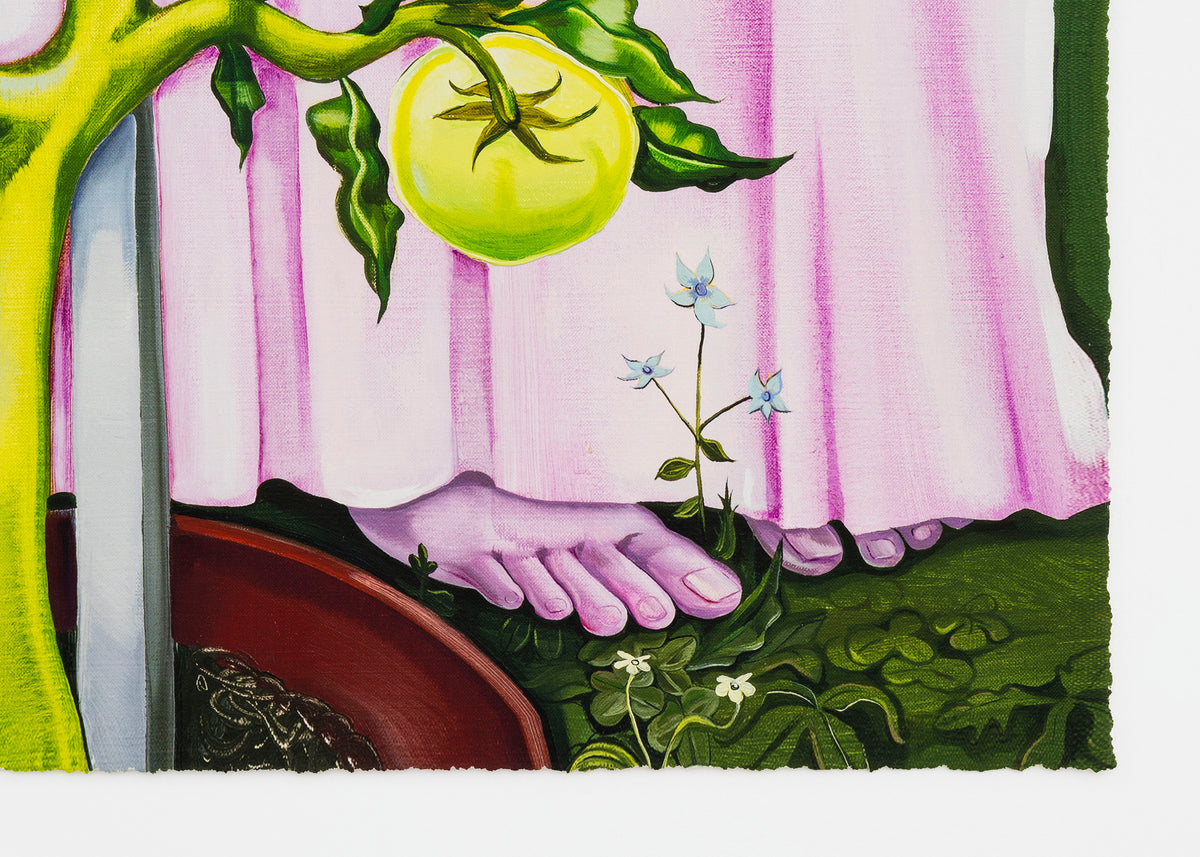 Nikki Maloof - Tomato Plant