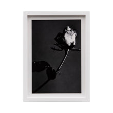 Load image into Gallery viewer, Pamela Berkovic - Untitled (Flower I) 2023
