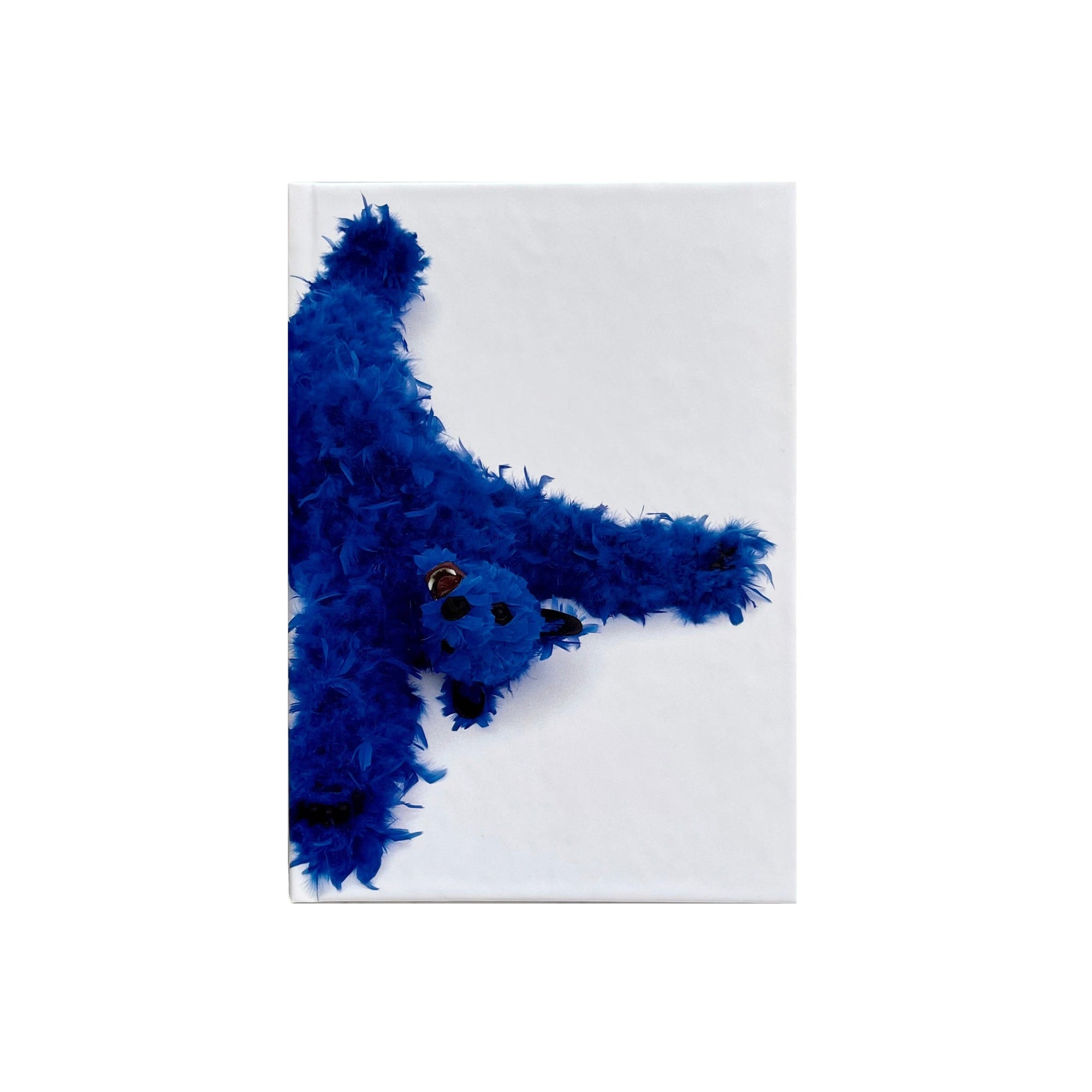 Paola Pivi - Baby Bear Journal (Blue)