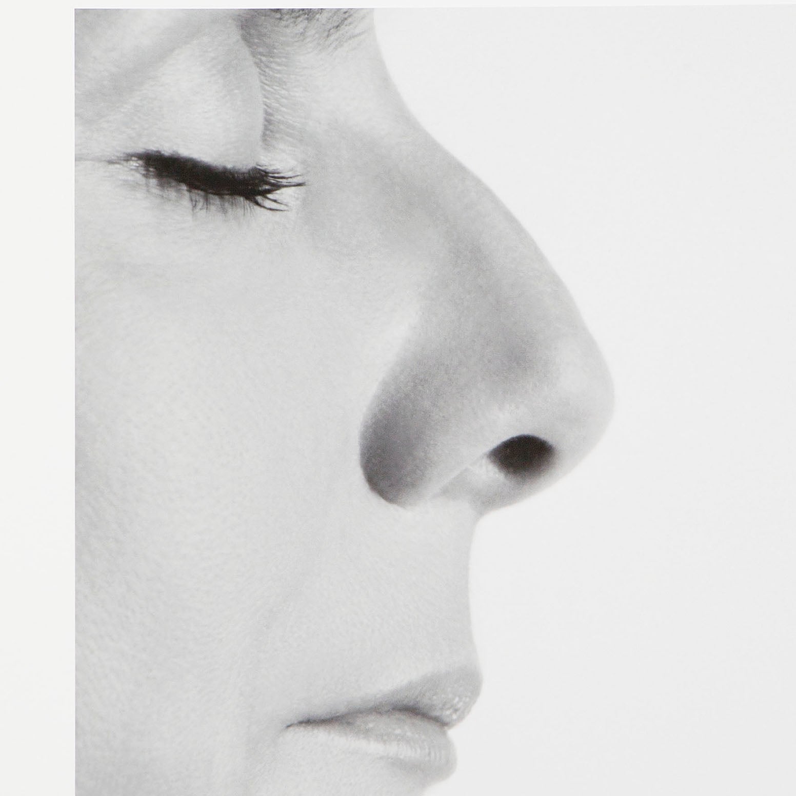 Sophie Calle - Plastic Surgery | Le Nez (English)