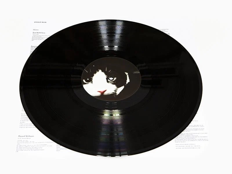 Sophie Calle - Souris Calle (Deluxe Edition Set)