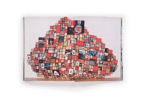 Barry McGee: Reproduction