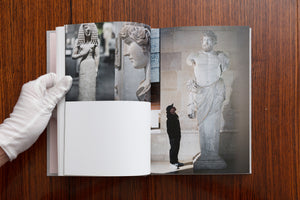 Daniel Arsham - Paris, 3020