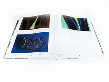 Load image into Gallery viewer, Hans Hartung - Catalog MAMVP
