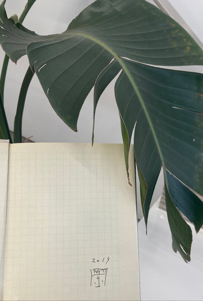 Izumi Kato - Drawings & Paper Works (Available Signed)