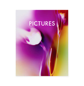 PICTURES (feat. Leslie Hewitt)