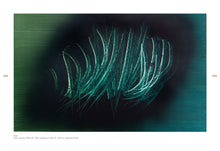 Load image into Gallery viewer, Hans Hartung - Hans Hartung et l&#39;abstraction
