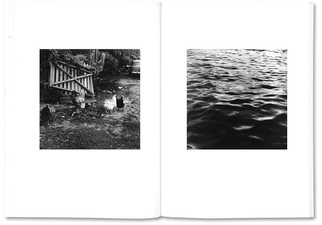 Moyra Davey & Peter Hujar - The Shabbiness of Beauty