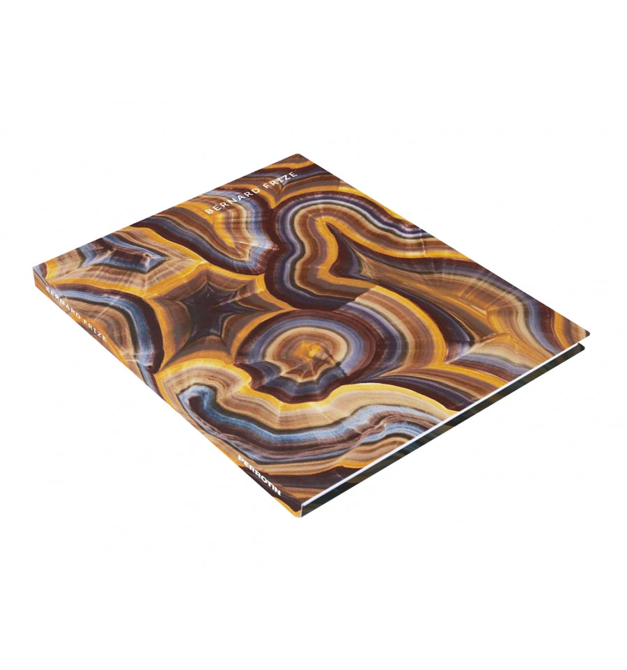 Bernard Frize - Self Titled Perrotin Monograph