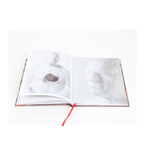 Load image into Gallery viewer, Bharti Kher - This Breathing House
