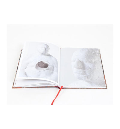 Bharti Kher - This Breathing House