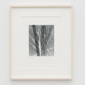 Hans Hartung - rmm 282 - L 1966-40 / HANS ARP, 1966