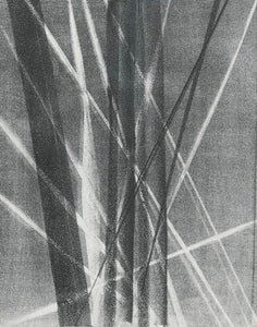 Hans Hartung - rmm 282 - L 1966-40 / HANS ARP, 1966