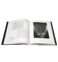 Load image into Gallery viewer, Heinz Mack - Spectrum 1950 - 2016
