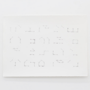 Gabriel Rico - Esquemas de Hueso, 2013 (Available Framed)